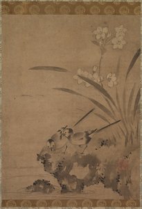 鹡鸰和水仙 作者 斯蒂法诺·德拉·贝拉