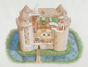 萨默塞特郡的农尼城堡，2006年