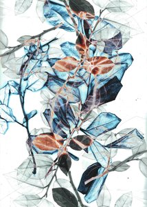 弗雷尔 X，2018 年（数字） 作者 史蒂芬·道