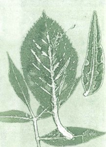 消失的九号》，2015 年（纸上单版画） 作者 史蒂芬·道