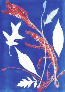 Jol I，2017（纸上单版画） 作者 史蒂芬·道