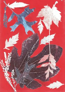 Jol XII，2017（纸上单版画） 作者 史蒂芬·道