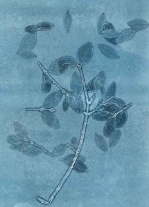午夜花园 I》，2015 年（纸上单版画） 作者 史蒂芬·道
