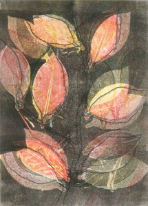 午夜花园 V》，2015 年（纸上单版画） 作者 史蒂芬·道
