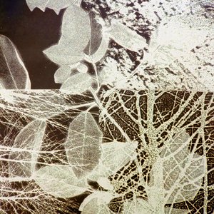 夜森林》，2018 年（数字） 作者 史蒂芬·道