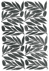 橄榄枝》，2015 年（纸上线描） 作者 史蒂芬·道