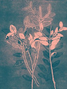 2018 年第六季（数字版） 作者 史蒂芬·道