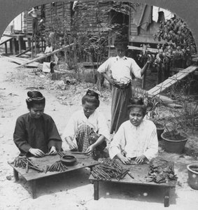 制作女性抽烟的大雪茄，缅甸，1908年 作者 立体声旅行社