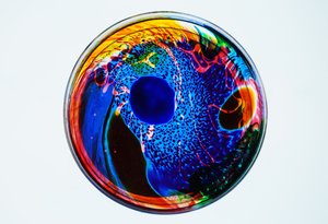Koan, 2024 作者 史蒂夫·帕夫洛夫斯基