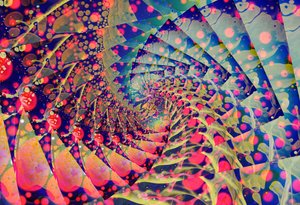 这就是《反馈意见》，2024 年