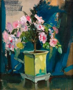 山茶花，约 1920 年（木板油画） 作者 桑德兰罗里森