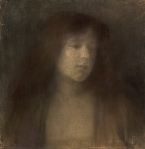 研究负责人 作者 苏珊·雷纳特·格兰尼奇