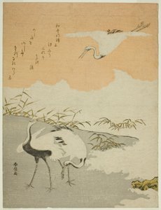 海边的仙鹤 作者 铃木春信