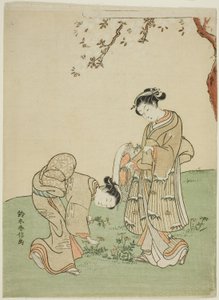采集春花 作者 铃木春信