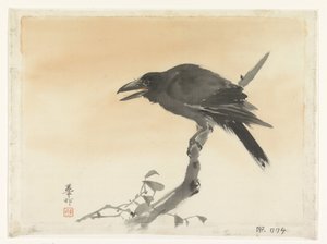 乌鸦