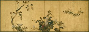秋冬之花