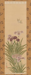 鸢尾花和蛾，ca。 1850年。