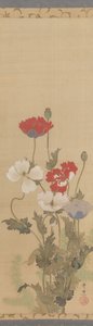 罂粟花，19世纪中期。