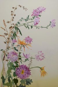  作者 
