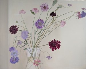  作者 