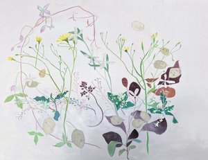  作者 