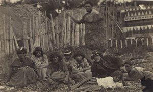 在Pawhakiro Pa，Hawkes Bay，New Zealand，c.1865（albumen print） 作者 天鹅和瑞格斯沃思