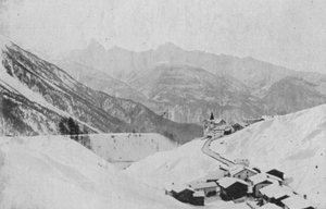 Wiesen pres Davos (b/w photo) 作者 瑞士摄影师