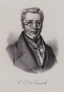 Augustin Pyramus de Candolle，瑞士植物学家（雕刻） 作者 瑞士学校