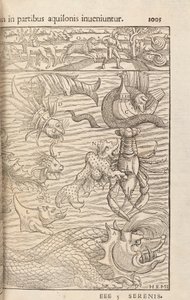 来自Cosmographiae Universalis的第1005页，作者：Sebastian Muenster，巴塞尔，1572年 作者 瑞士学校