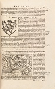 Page 983来自Cosmographiae Universalis，作者：Sebastian Muenster，巴塞尔，1572年 作者 瑞士学校