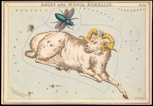 白羊座和北麝，约 1825 年（卡片、纸、纸巾）