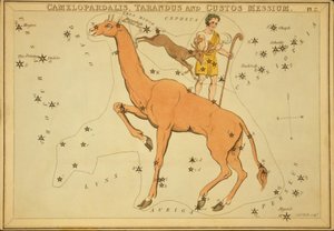 Camelopardalis、Tarandus和Custos Messium，《乌拉尼亚的镜子》中的插图 作者 Sydney Hall