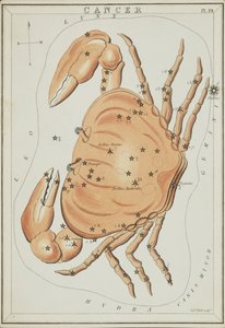 巨蟹座，《乌拉尼亚之镜》中的插图 作者 Sydney Hall