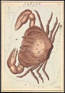 癌症，约 1825 年（卡片、纸、纸巾） 作者 Sydney Hall