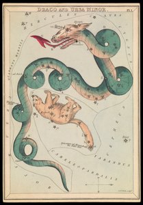 天龙座和小熊座，约 1825 年（卡片、纸、纸巾） 作者 Sydney Hall
