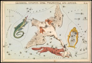 天秤座、天鹅座、天琴座、狐狸座和天鹅座，约 1825 年（卡、纸、纸巾） 作者 悉尼音乐厅