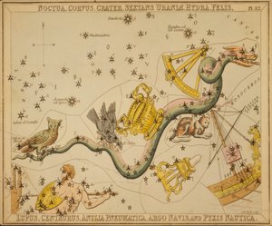 Noctua, Corvus, Crater, Sextans Uraniæ, Hydra, Felis, Lupus, Centaurus, Antlia Pneumatica, Argo Navis, and Pyxis Nautica, 插图来自《天王星的镜子》。 作者 悉尼音乐厅