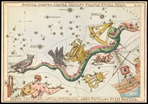 Noctua、Corvus、Crater、Sextans Uraniae、Hydra、Felis、Lupus、Centaurus、Antilia Pnuematica、Argo Navis 和 Pysix Nautica，约 1825 年（卡片、纸张、纸巾） 作者 Sydney Hall
