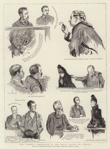 皇家法院的帕内尔委员会 作者 Sydney Prior Hall
