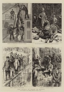 瑞典的威尔士亲王 作者 Sydney Prior Hall
