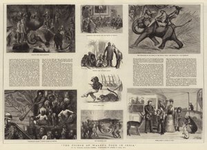威尔士亲王在印度的巡回演出 作者 Sydney Prior Hall