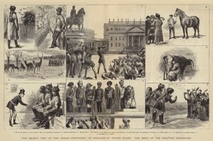 最近访问英国印第安人队，在Stowe House，Grafton Foxhounds的见面会