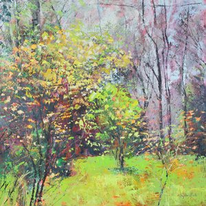 Spring Sparkle 作者 西尔维娅·保罗