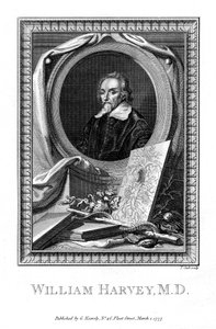 威廉·哈维（William Harvey），医生，1777年。 作者 库克