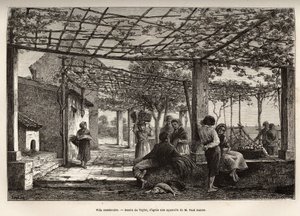 曼顿别墅，根据泰勒的画作雕刻的，说明1871年曼顿和博尔德赫拉的航行，作者是阿道夫-乔安，发表在《世界之旅》1874年，由爱德华-查顿编辑，巴黎Hachette版。塞尔瓦收藏。