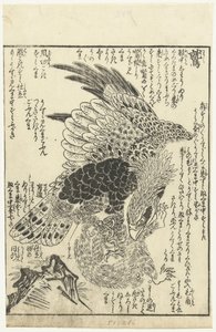 鹰爪抓猴子