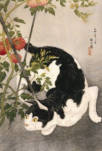 1931年，一只被困的番茄植物徘徊的猫（木版画）