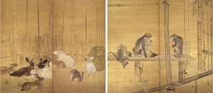 猴子和兔子