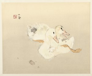 年轻的鸭子 作者 竹内诚帆