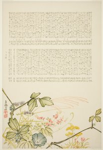 秋草 作者 田中南井